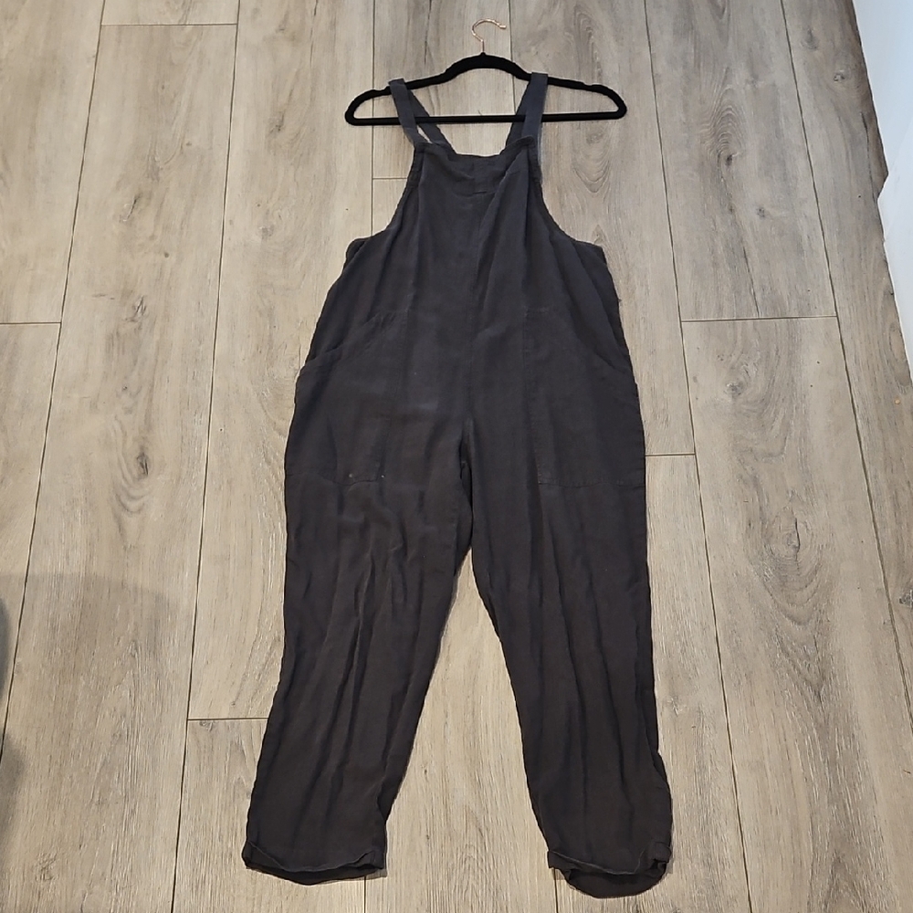 Universal Thread Charcoal Overalls